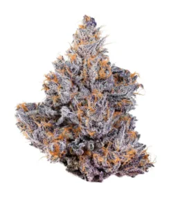 Baked Bags Cannabis 3.5g Biscotti – Premium THCa Blüten online kaufen